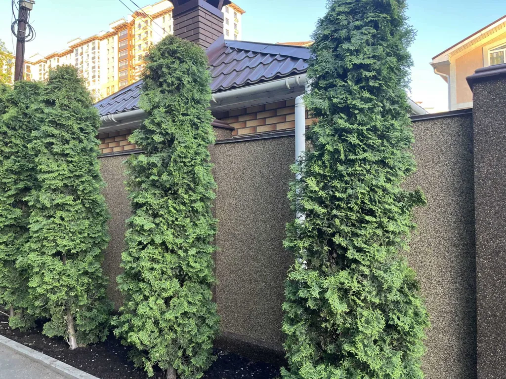 img 7688 scaled 1